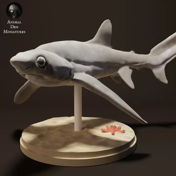 STL - big eye thresher shark