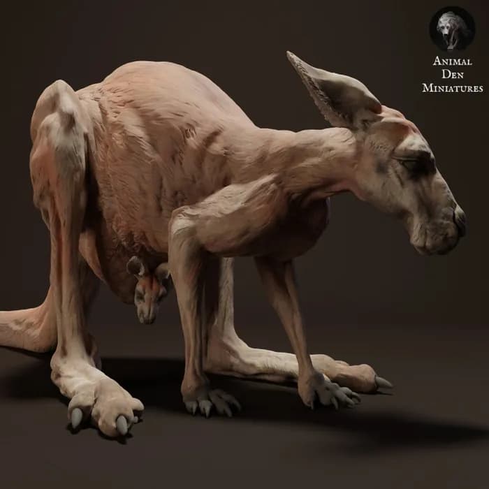 STL - canguro hermbra