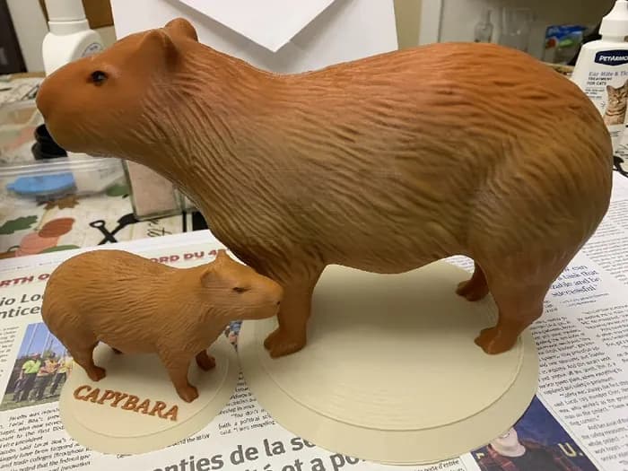 STL - capibara text