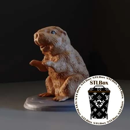 STL - castor de pie