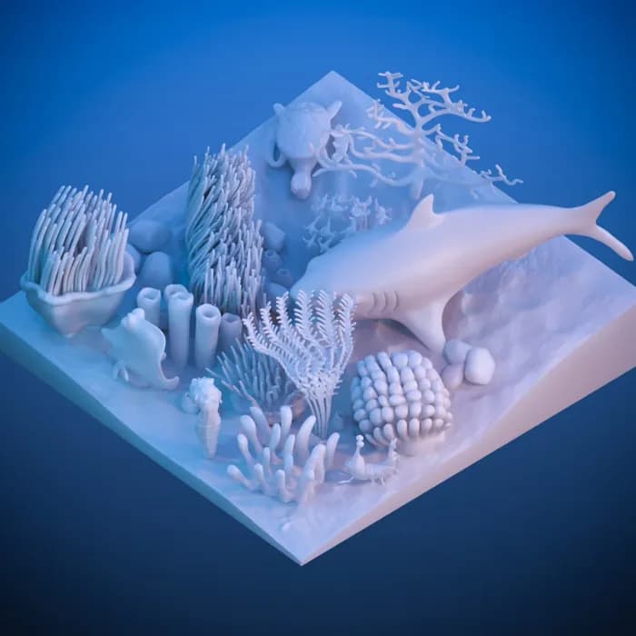 STL - coral reef