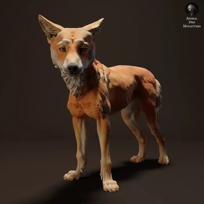 STL - dingo