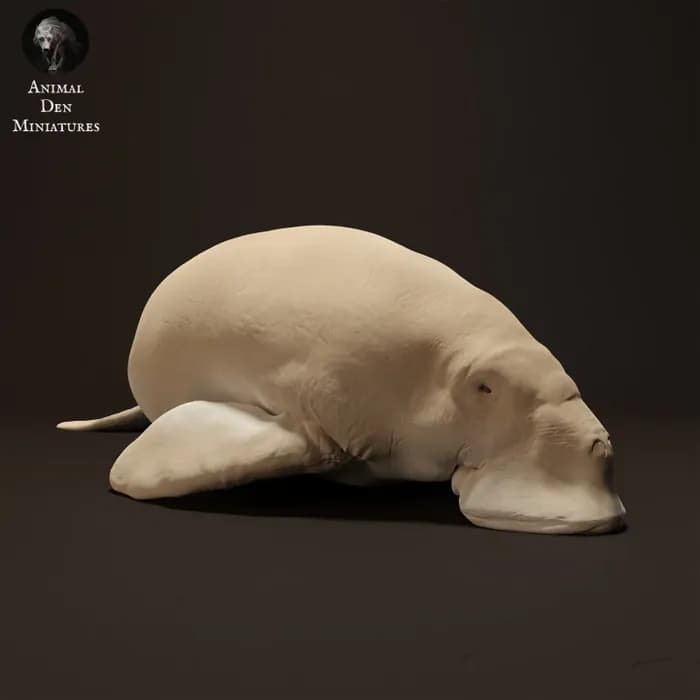 STL - dugong comiendo