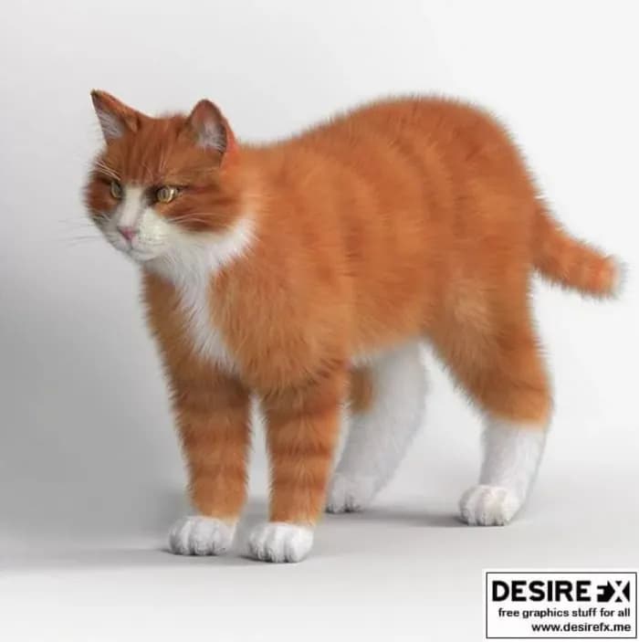 STL - gato rojo