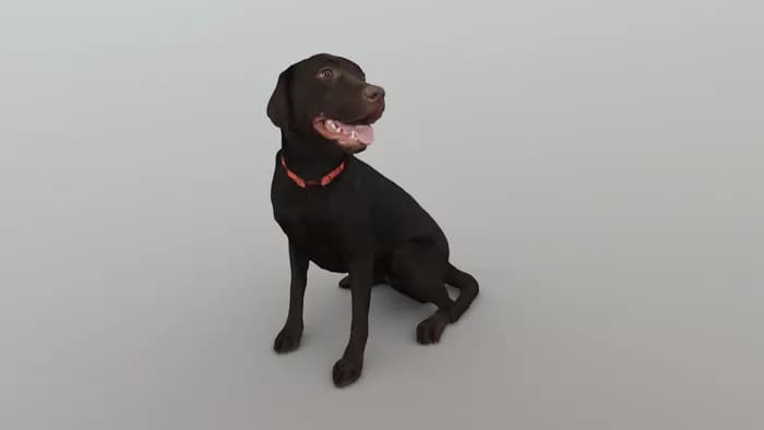 STL - perro negro sentado