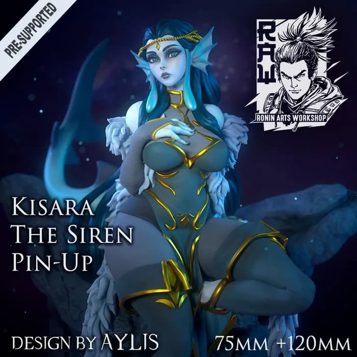75mm kisara supports x