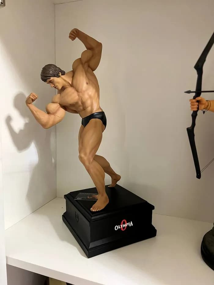 arnold schwarzenegger mr olympia