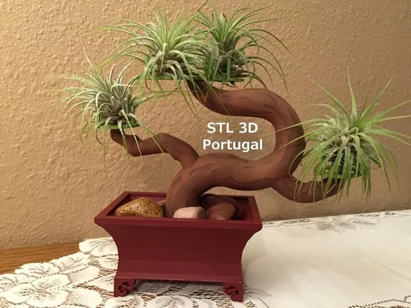 STL - Bonsai para Tillandsias
