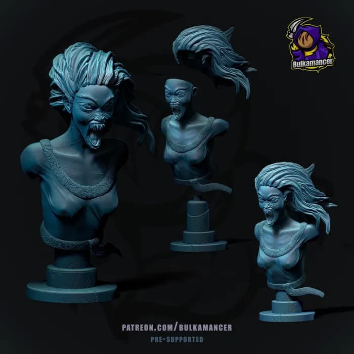 STL - bruxa witcher bust 3d print x