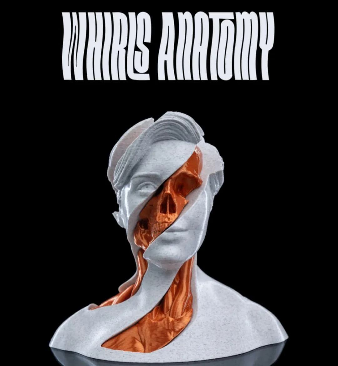 STL - Busto Anatómico Surrealista