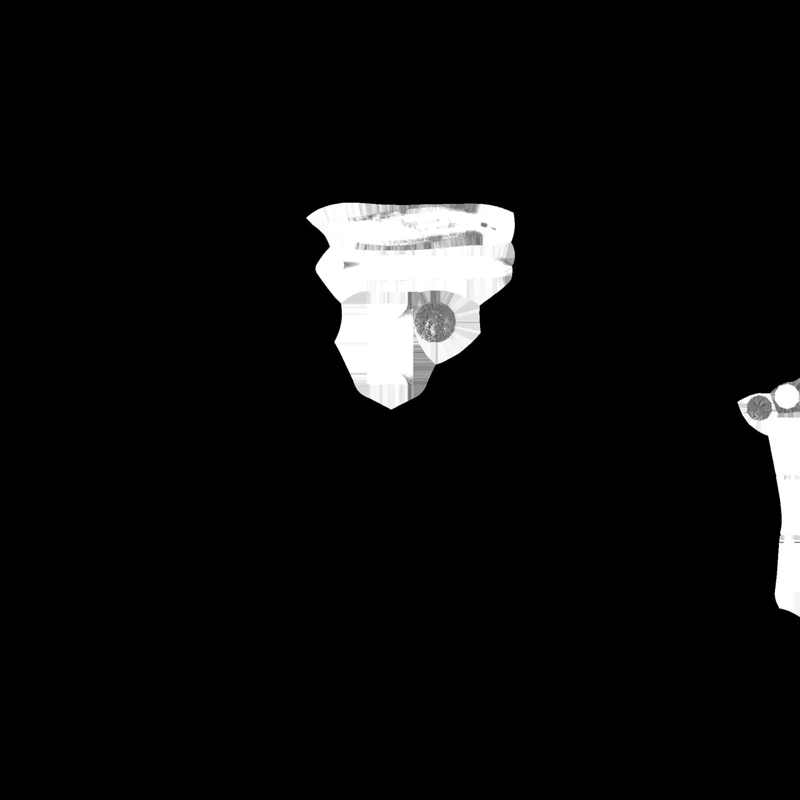 STL - Busto de Pinhead render 4