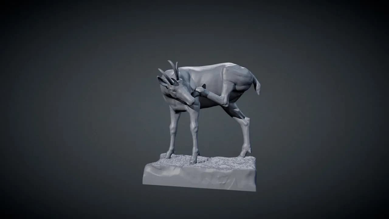 STL - Cabra montes 3d