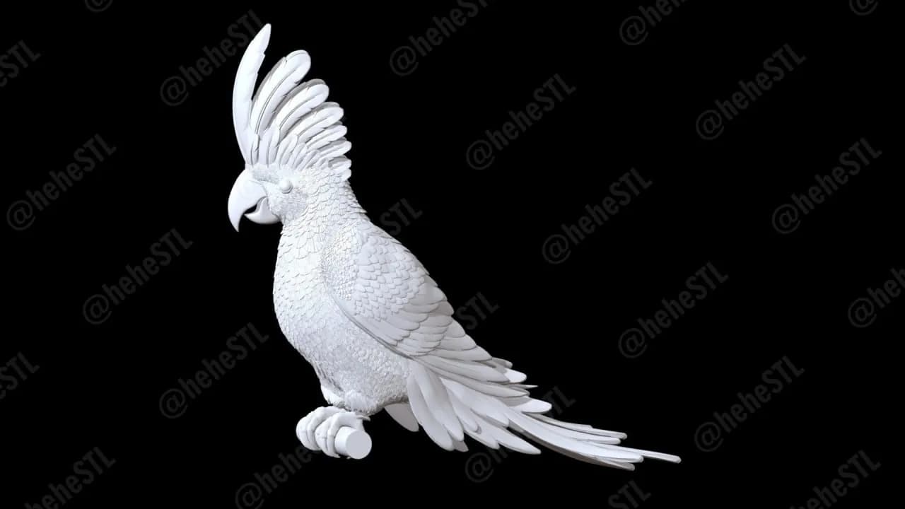 STL - Cacatúa Blanca