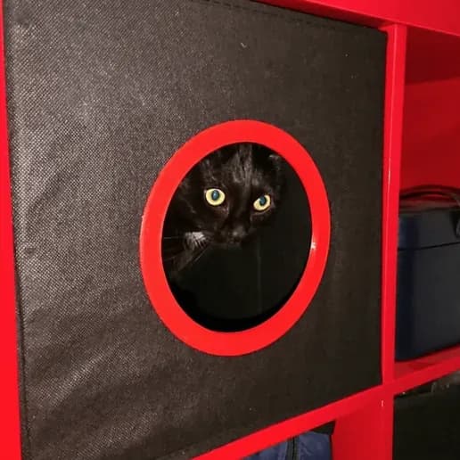STL - Caja de gato IKEA