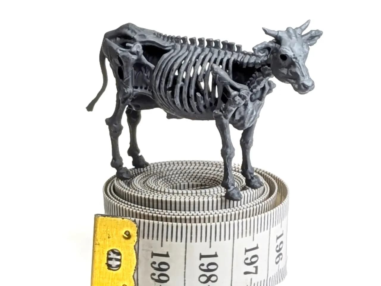 STL - Calavera de Vaca Zombie render 2