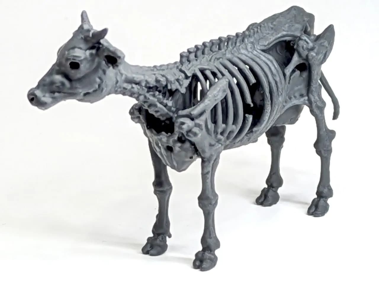 STL - Calavera de Vaca Zombie render 5