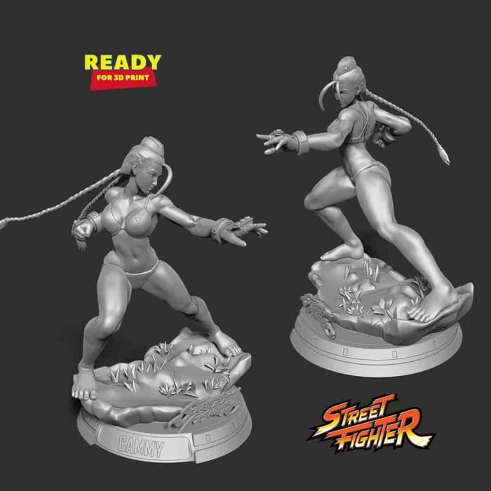 STL - cammy 2 render 4