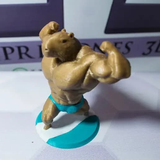 STL - Capibara musculoso surfista