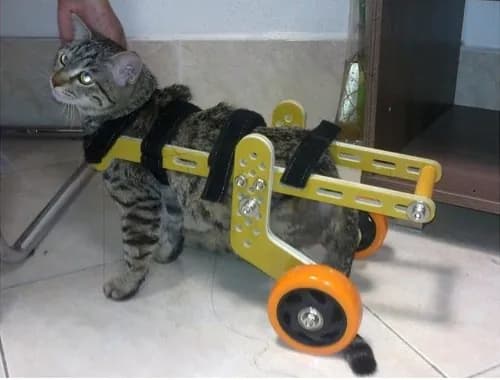 STL - Carrito para gato con ruedas