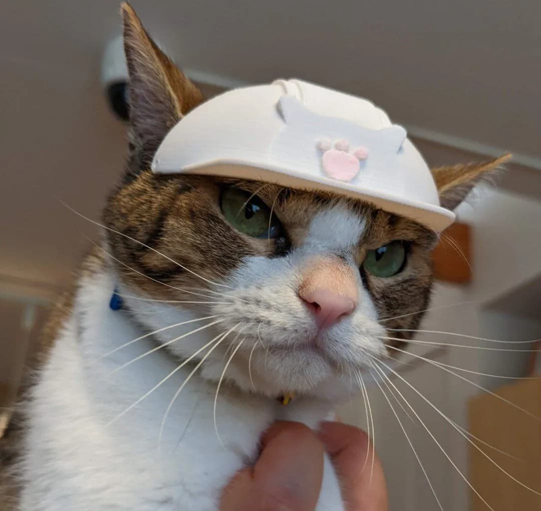 STL - Casco para gato