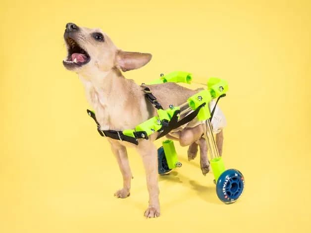 STL - Cochecito para perros con ruedas
