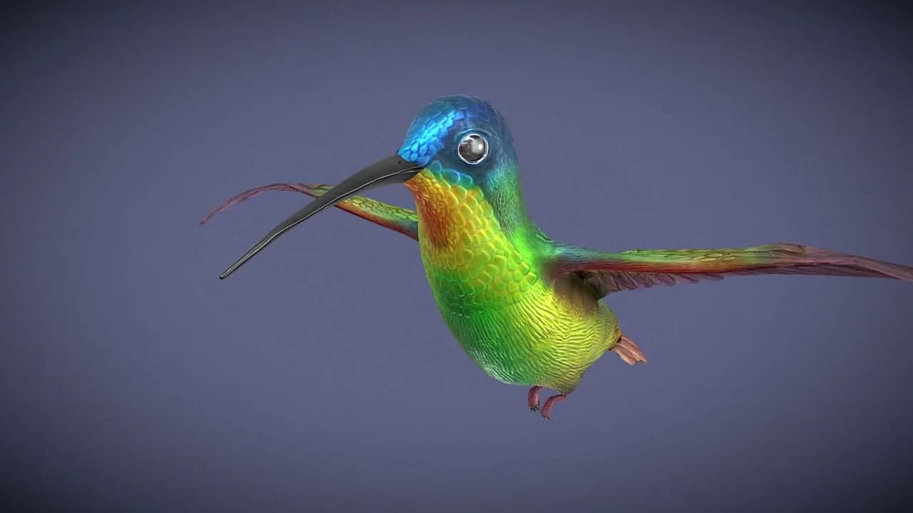 STL - Colibrí con alas de arcoíris
