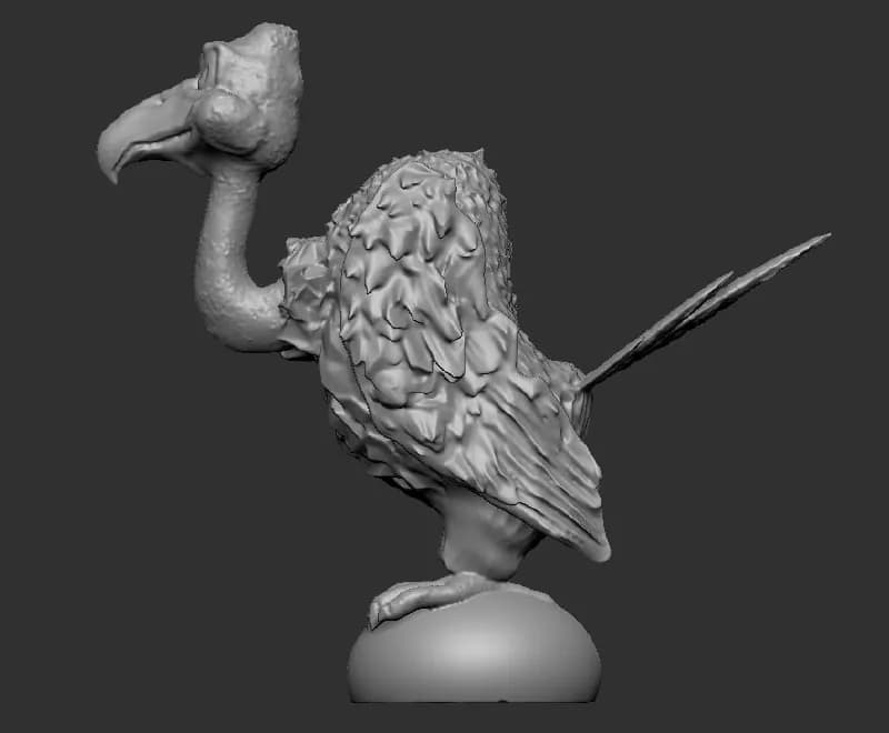 STL - Condor Divertido