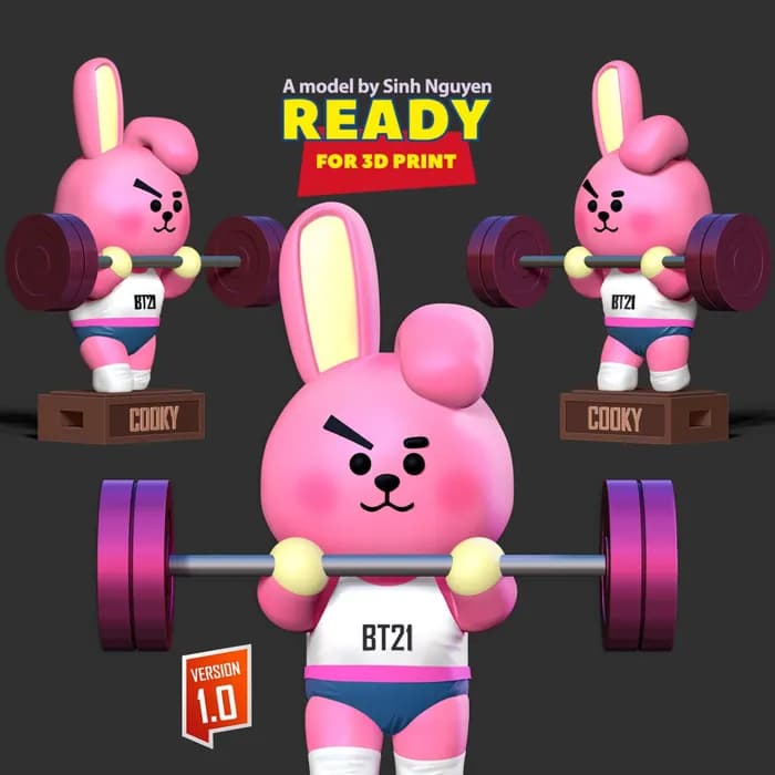 STL - cooky
