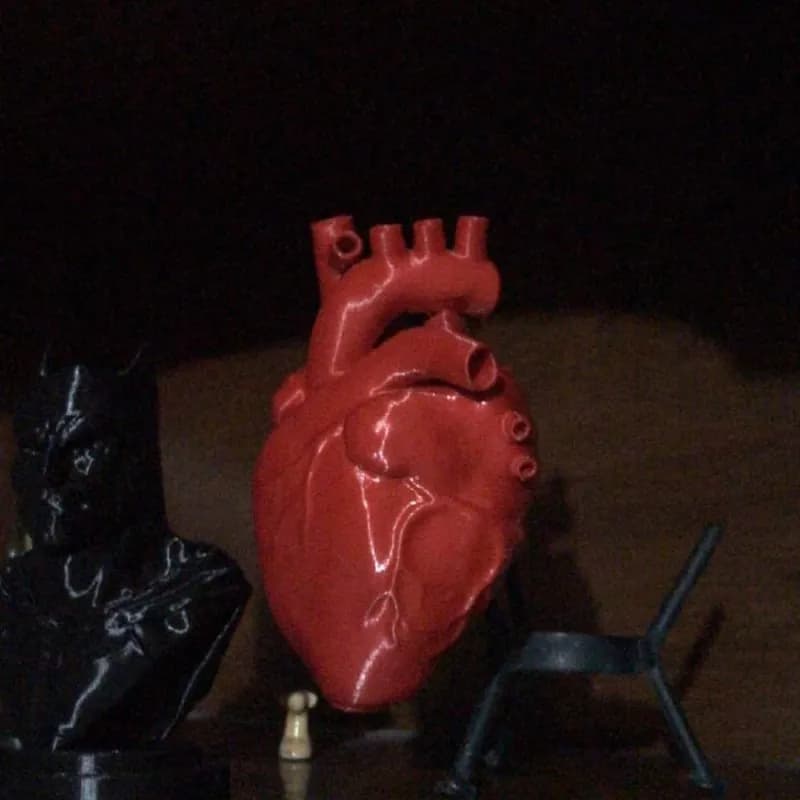 STL - Corazón Anatómico Realista
