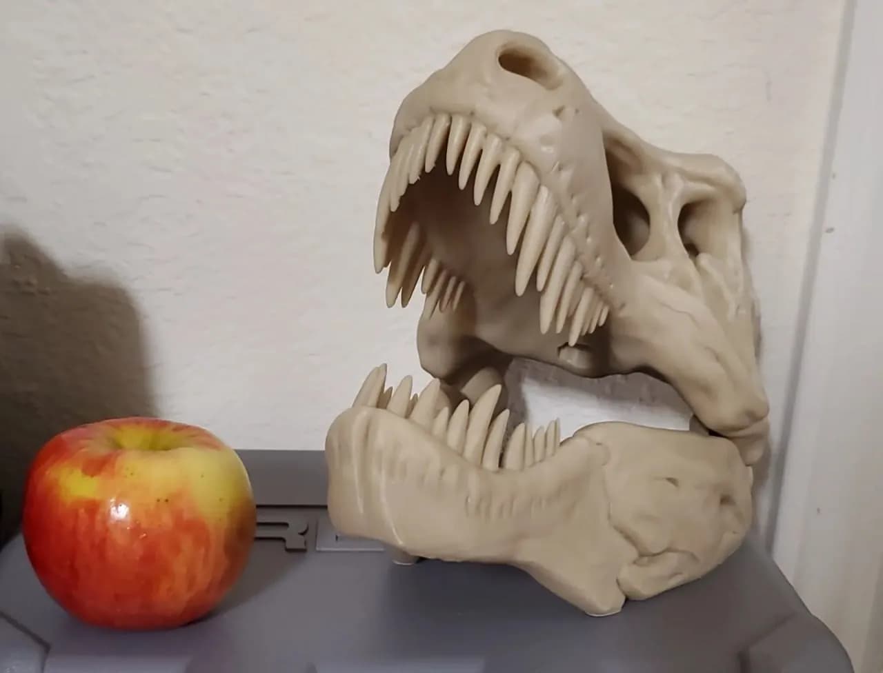 STL - Craneo de dinosaurio T Rex