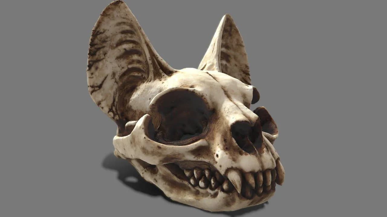 STL - Craneo de Gato