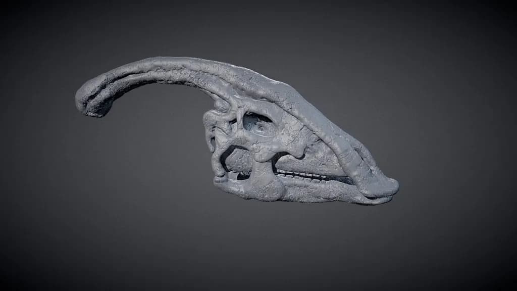 STL - Cráneo de Parasaurolophus