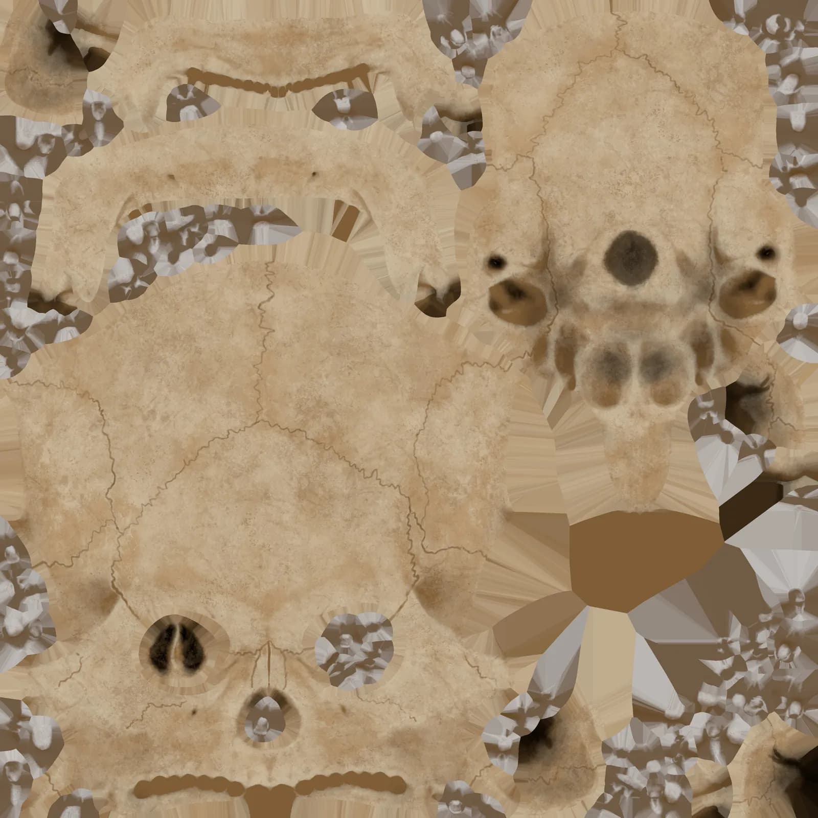 STL - Cráneo humano realista render 4