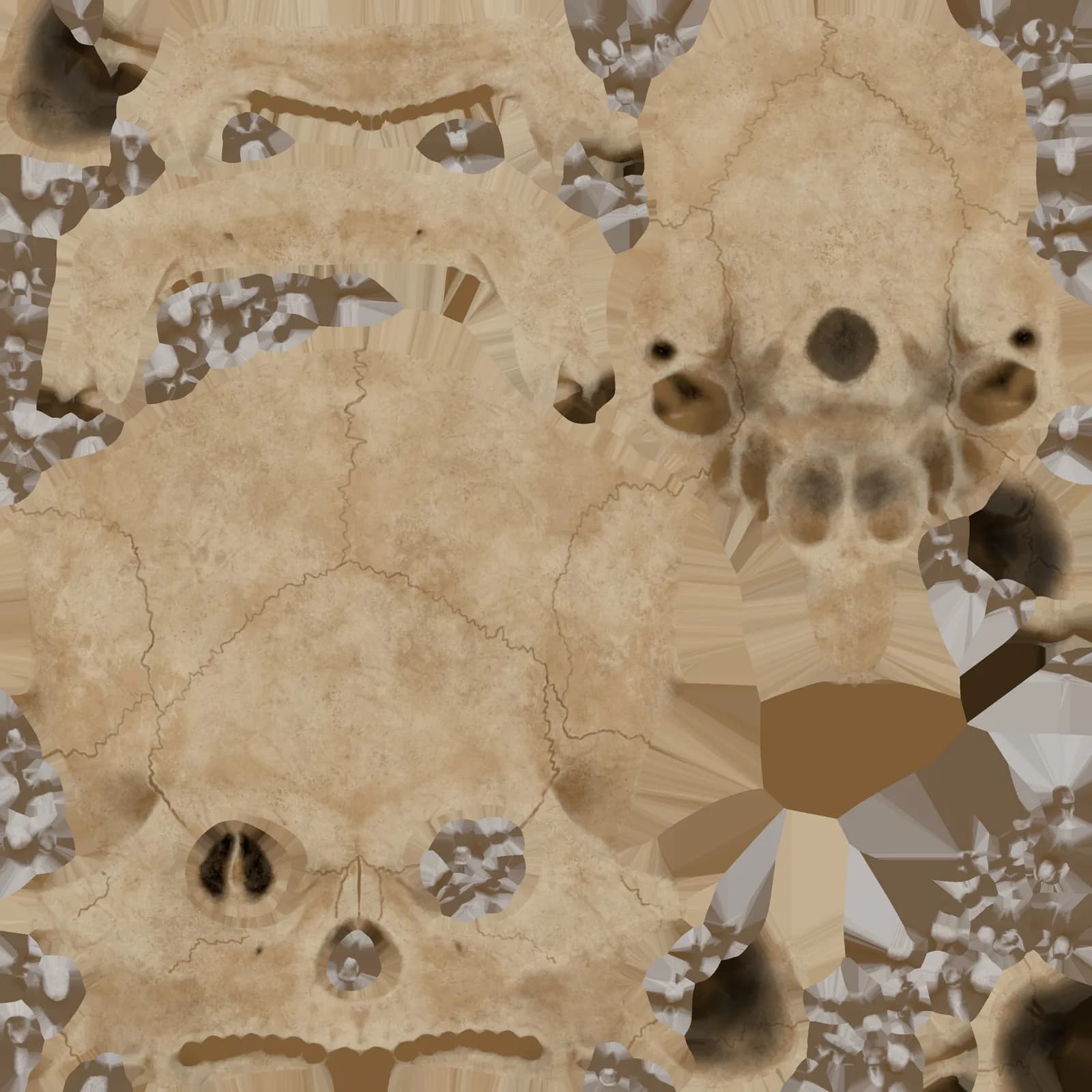 STL - Cráneo humano realista render 5