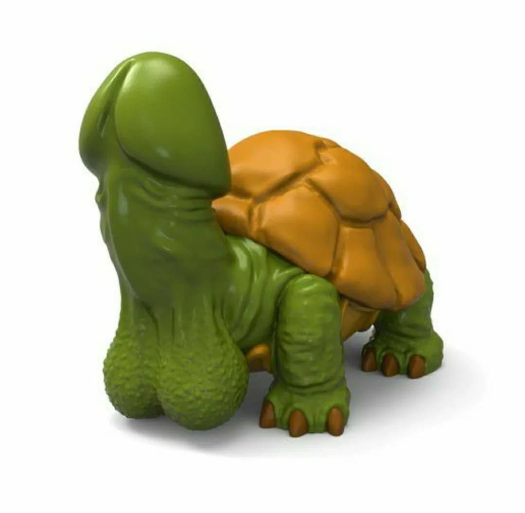 STL - Dicky Turtle 2