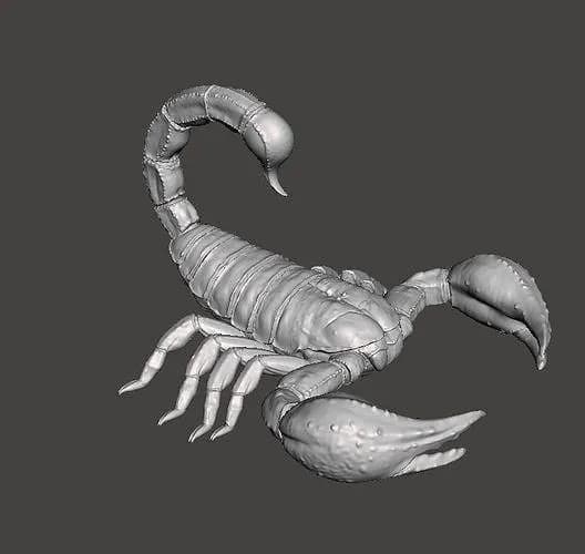 STL - Escorpion amenazante