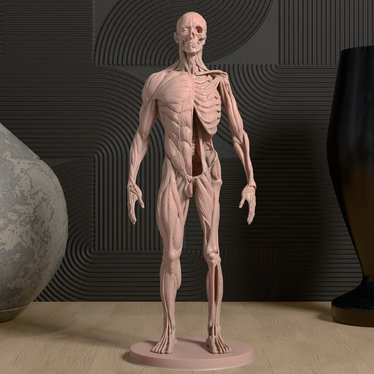 STL - Figura anatómica masculina render 2