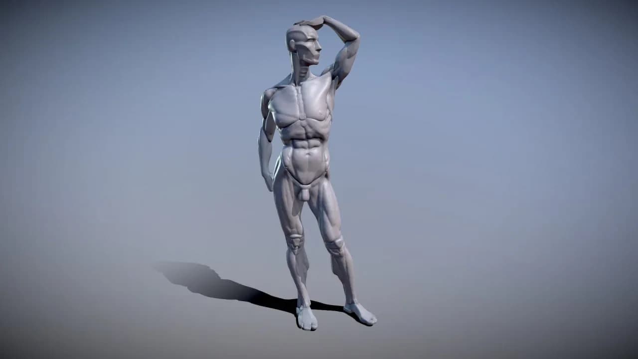 STL - Figura anatomica masculina (2)