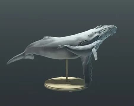 STL - Figura de Ballena Jorobada 2