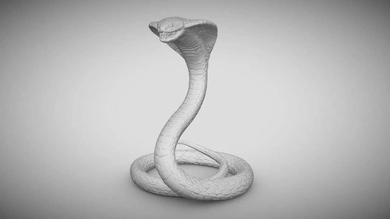 STL - Figura de Cobra Realista