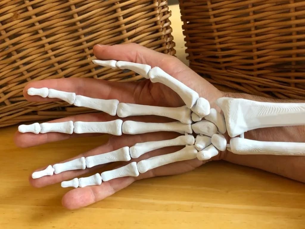 STL - Figura de Mano Humana Articulada