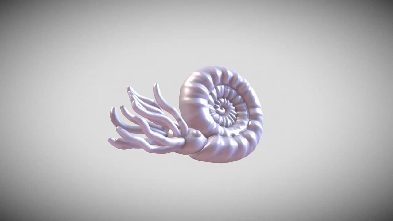 STL - Figura de nautilus estilizado