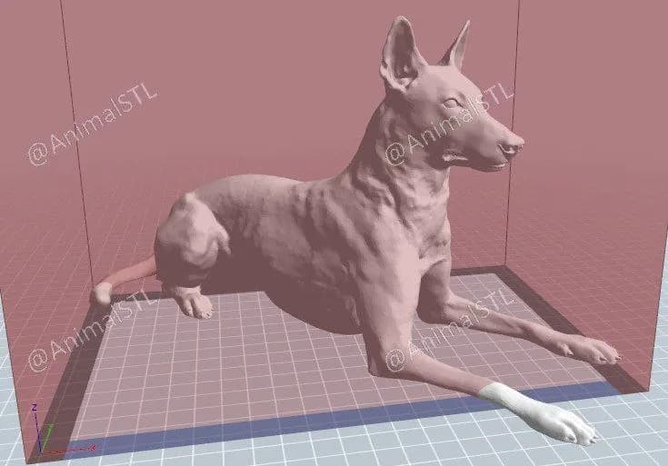 STL - figura de perro malinois tumbado