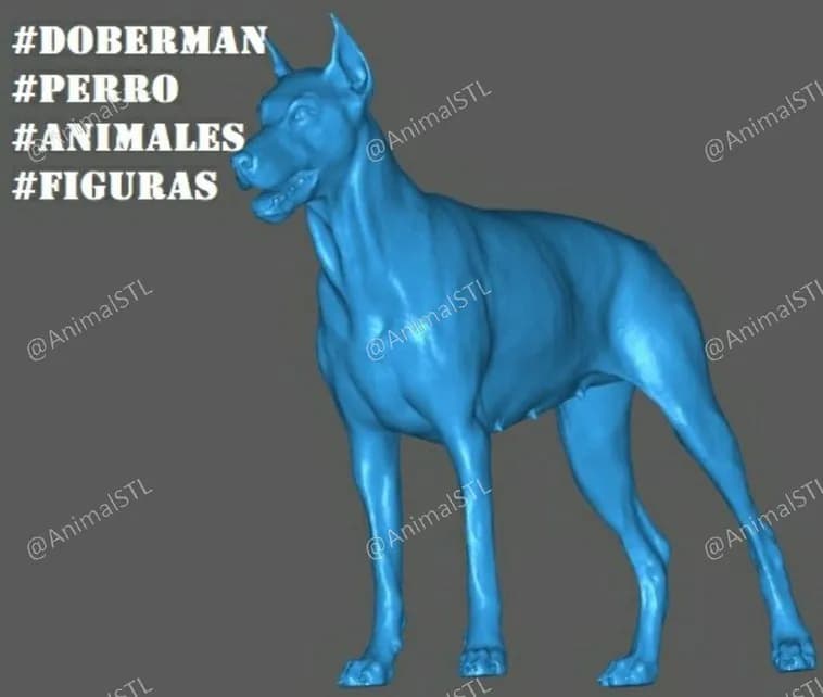 STL - figura doberman