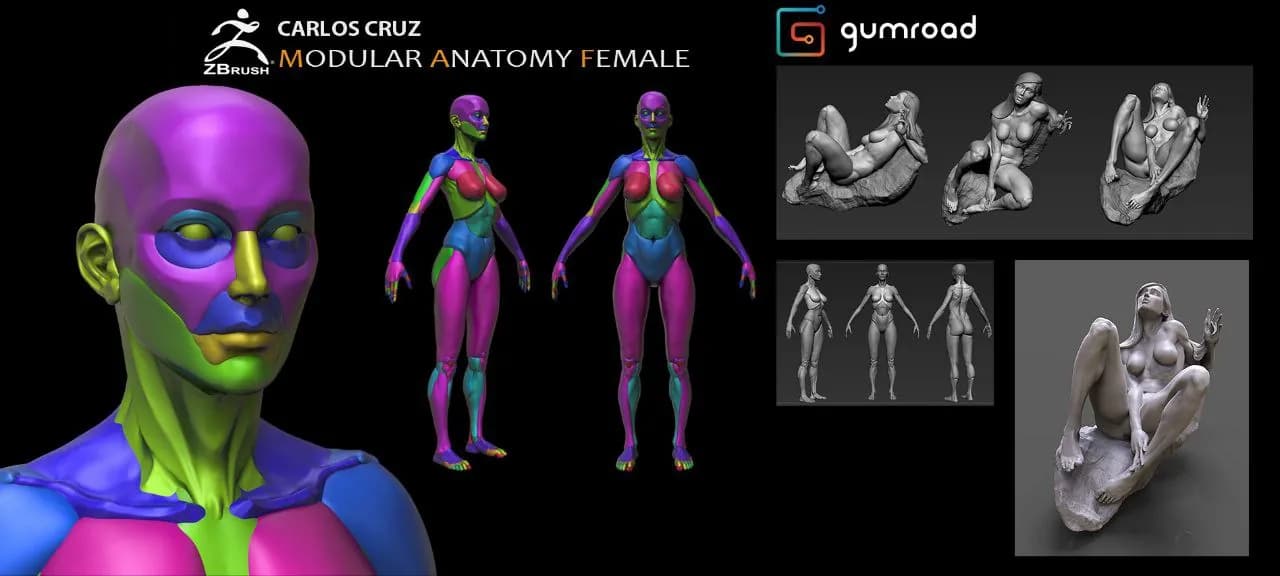 STL - Figura Femenina Anatómica Modular render 5