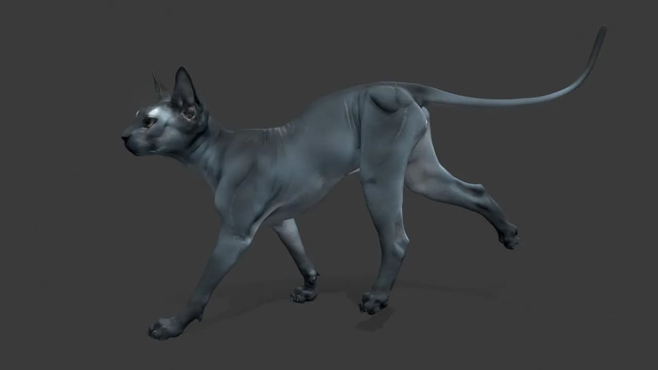 STL - Gato Sphynx 3