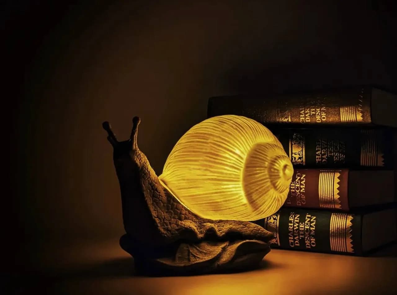 STL - Lámpara caracol con libros