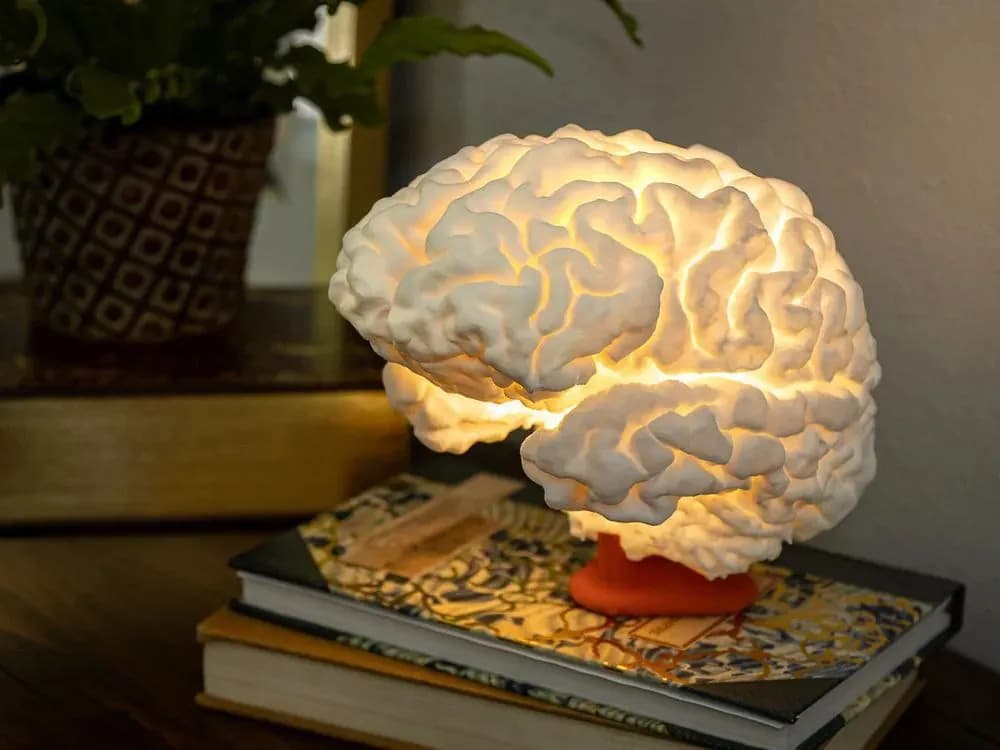 STL - Lámpara de Cerebro