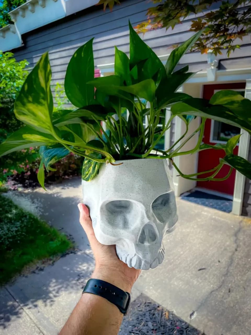 STL - Maceta Calavera