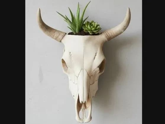 STL - Maceta Calavera de Toro